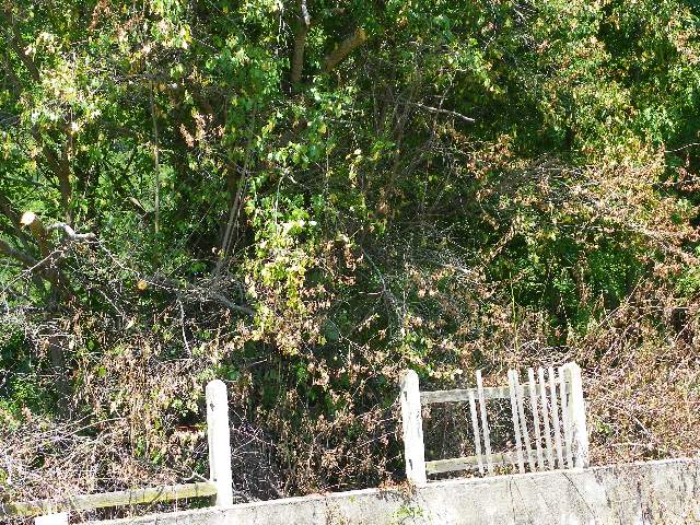 100_5263.jpg