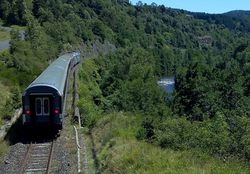 arton395
